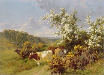 Maiblüte